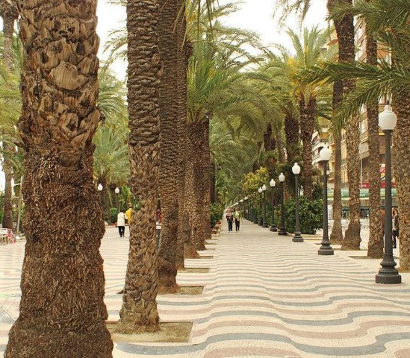 wakacyjny kurs jezyka hiszpanskiego w Alicante